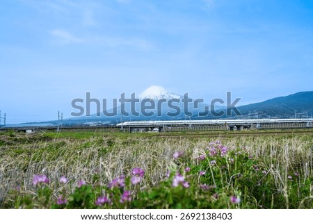 High-speed trains pass through the fields with Mount Fuji in the background.