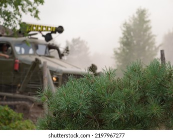 HIGHT SPEED TRACK DOZER ON BACKGROUND OF PINE BRANCHES - Conifer And A Military Engineering Vehicle