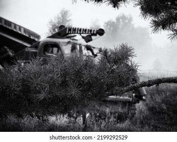 HIGHT SPEED TRACK DOZER ON BACKGROUND OF PINE BRANCHES - Conifer And A Military Engineering Vehicle
