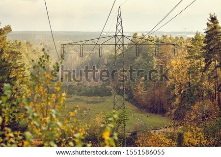 High-voltage powerlines and high-voltage pylons transporting  electric power in a lane through a beautiful autumnal forest in the evening light. Seen in Franconia / Bavaria in Germany in November.