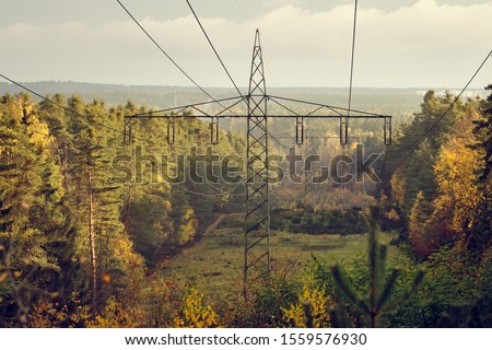 High-voltage powerlines and high-voltage pylons transporting  electric power in a lane through a beautiful autumnal forest in the evening light. Seen in Franconia / Bavaria in Germany in November.