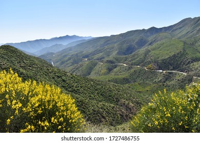 Highway 33 Los Padres National Forest 