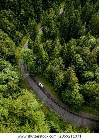 highway among trees, good view, view from above