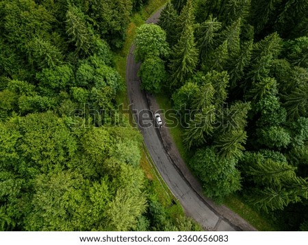 highway among trees, good view, view from above