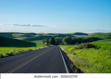 Highway Among Wheat Fields In The Palouse Region Of Eastern Washington State