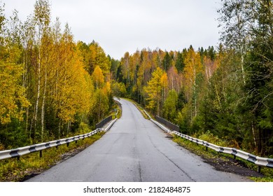 Highway in the autumn forest. Highway road in forest. Autumn forest road. Road in autumn forest - Shutterstock ID 2182484875