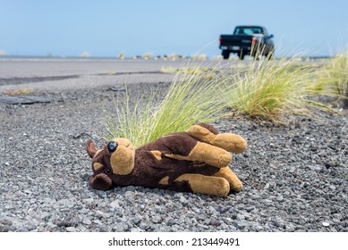 Highway Car Pass By Brown Plush Toy Dog Thrown Away By Spoiled Child