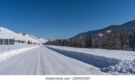 The Highway Is Cleared Of Snow. The Straight Road Goes Forward.  High Snowdrifts On The Roadsides. Coniferous Forest And Mountains Against A Clear Blue Sky. A Sunny Winter Day. Altai