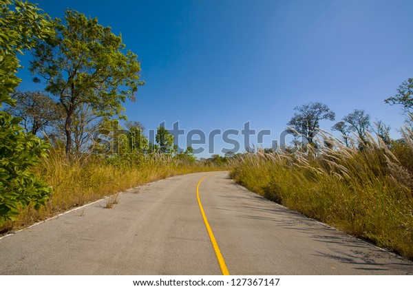 highway curve,\
yellow curve highway street\
line
