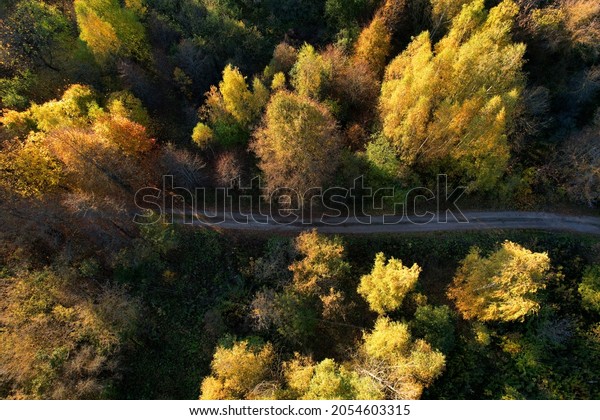 Highway in
the forest with trees in yellow leaves in the autumn season, top
view. Aerial view of the road in autumn. Traveling by car on
October weekend. Forest background in
autumn.