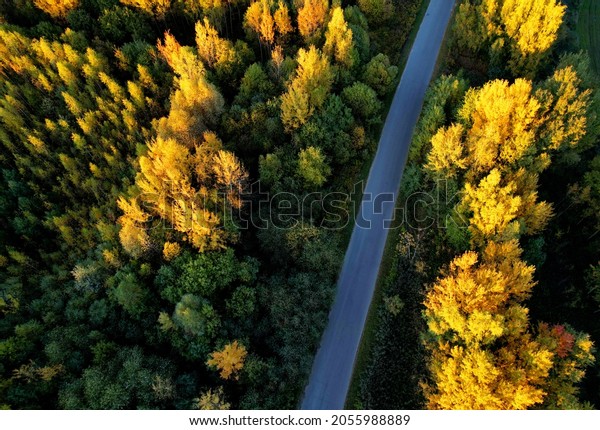 Highway in\
the forest with trees in yellow leaves in the autumn season, top\
view. Aerial view of the road in autumn. Traveling by car on\
October weekend. Forest background in\
autumn.