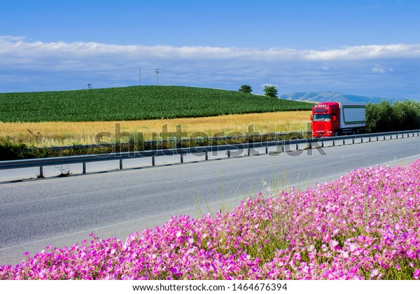 Highway with a glade of pink\
flowers