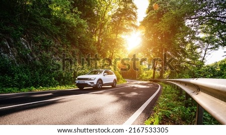 highway into Silent Forest in spring with beautiful bright sun rays - wanderlust