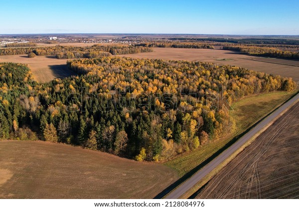 Highway near field and forest with trees in\
autumn season, top view. Aerial view of the road in fall. Drive by\
car on asphalt road in weekend. Road near field in autumn. Aerial\
top empty way in\
environment