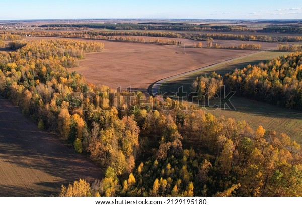 Highway near field and forest with trees\
in autumn season, top view. Aerial view of road in fall. Drive by\
car on road in weekend. Road near field in autumn. Aerial top empty\
way in environment.\
