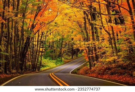 Highway road through the autumn forest. Autumn forest road. Road in autumn forest. Autumn road way