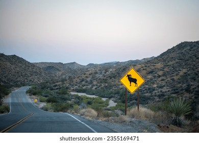 A highway road through a field with a traffic sign warning for bighorn sheep