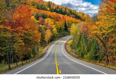 Highway through the autumn forest in the mountains. Autumn forest highway road. Highway in autumn forest. Beautiful autumn forest highway road landscape