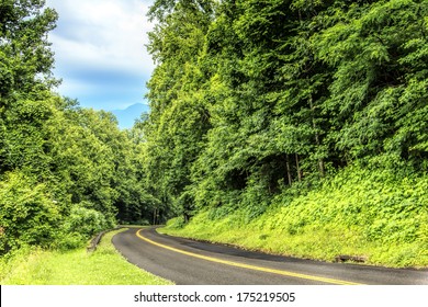 The Highway Through The Natural Forest Of The Great Smoky Mountains National Park