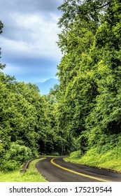 The Highway Through The Natural Forest Of The Great Smoky Mountains National Park