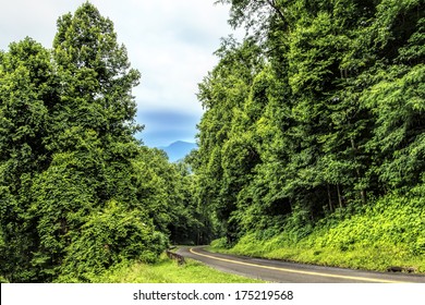 The Highway Through The Natural Forest Of The Great Smoky Mountains National Park