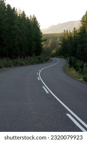 HIGHWAY THROUGH PINE FOREST WITH MOUNTAINS