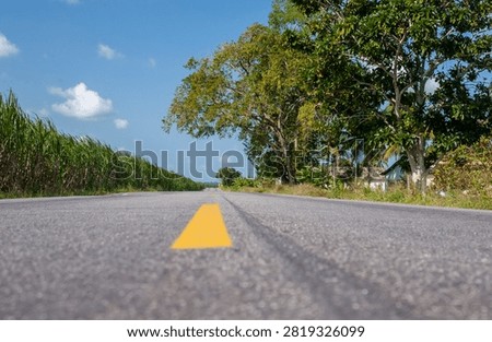 Highway Through Sugarcane Fields in Sapé, Paraíba, Brazil on September 1, 2005