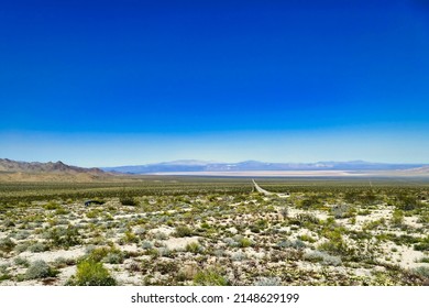 Highway through the vast expanse of the Mojave Desert, California, after spring rains coloured the desert green. Between Twentynine Palms and Amboy.