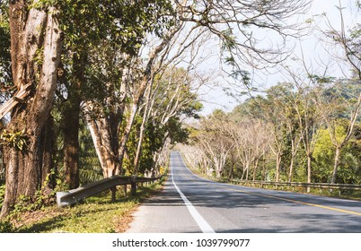 the highway and trees.
