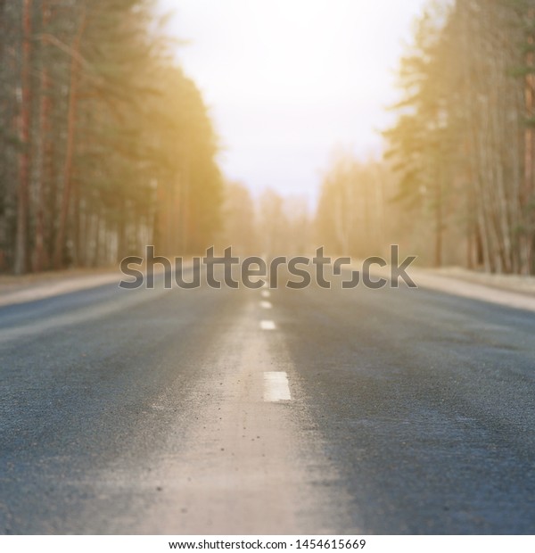 Highway with its white\
dividing strip lit by bright sunlight close up. The forest\
background in blur.