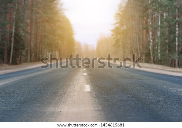Highway with its white\
dividing strip lit by bright sunlight close up. The forest\
background in blur.