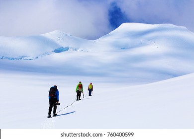 Hike Adventure In Antarctica