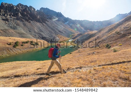 Similar – Image, Stock Photo The survival of the trees in the moorland forest