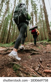 Hike Couple Hikers Hiking Forest Trail In Autumn Nature Going Camping With Backpacks. Woman And Man Walking Uphill On Mountain. 