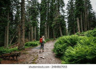 Hike in forest. Active woman with backpack hiking up to hill on trekking trail. Outdoor adventure in nature - Powered by Shutterstock