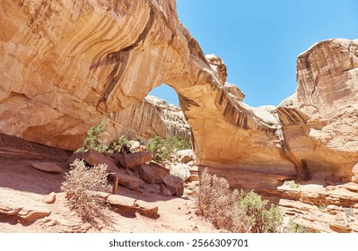 The hike to Hickman Bridge and Navajo Knobs is arguably Capitol Reef National Park's most thrilling hike.