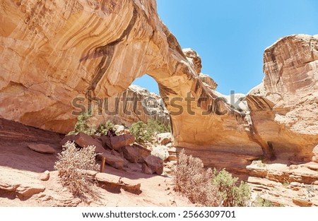 The hike to Hickman Bridge and Navajo Knobs is arguably Capitol Reef National Park's most thrilling hike.