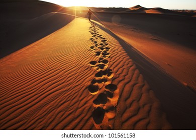 Hike In Namib Desert