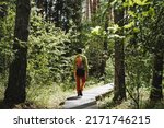 A hike through the forest with a backpack, a guy from behind travels alone in nature, a man rests alone, a man on a hike walks along the trail. High quality photo