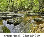 A hike through the forested mountain viewing streams seeking Dark Hollow Falls in Shenandoah National Park.