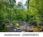 A hike through the mountains, viewing forests and streams, leading to Dark Hollow Falls at Shenandoah National Park.