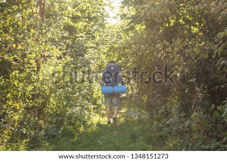 Similar – Hiker woman with backpack raising her arms into the forest