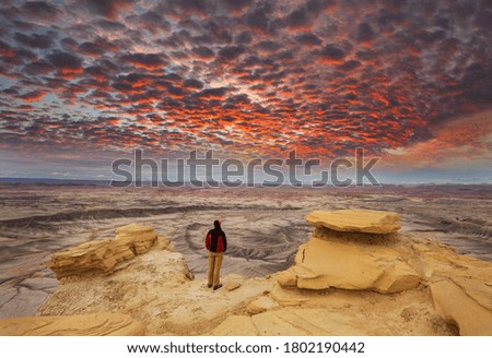 Trail in a beautiful landscape