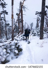 A Hike In The Winter South Dakota Black Hills