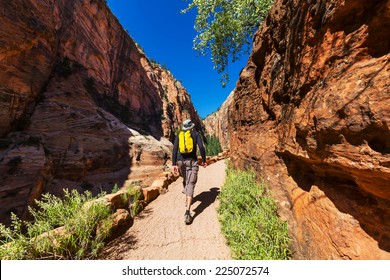 Hike In Zion National Park