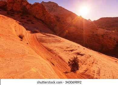 Hike In Zion National Park