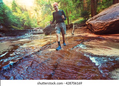 Hike In Zion National Park