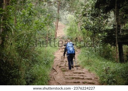 Hiker with blue backpack on the trail
