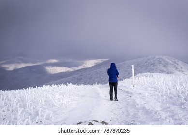 A Hiker Braves The Frigid Winter Temperatures High Atop The Roan Highlands On The Appalachian Trail In The Western North Carolina Blue Ridge Mountains.