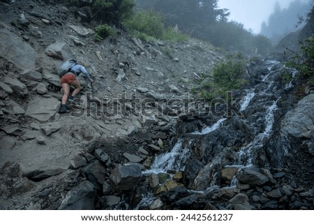 Hiker Climbs Down Rocky Bank Of Creek Toward Glacier Meadows in Olympic National Park